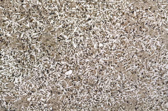 Roche magmatique non déterminée (Dolérite - Microgabbro) LPNA x2